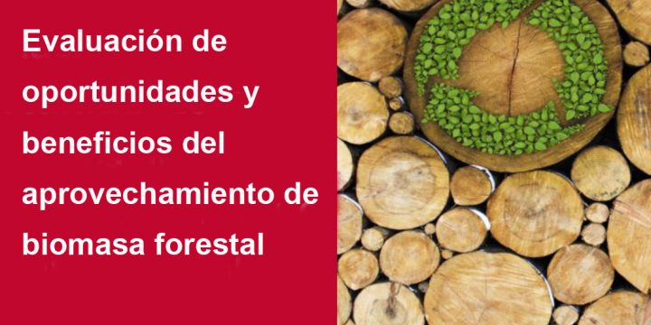 Aprovechamiento de biomasa forestal: Evaluación de oportunidades y beneficios